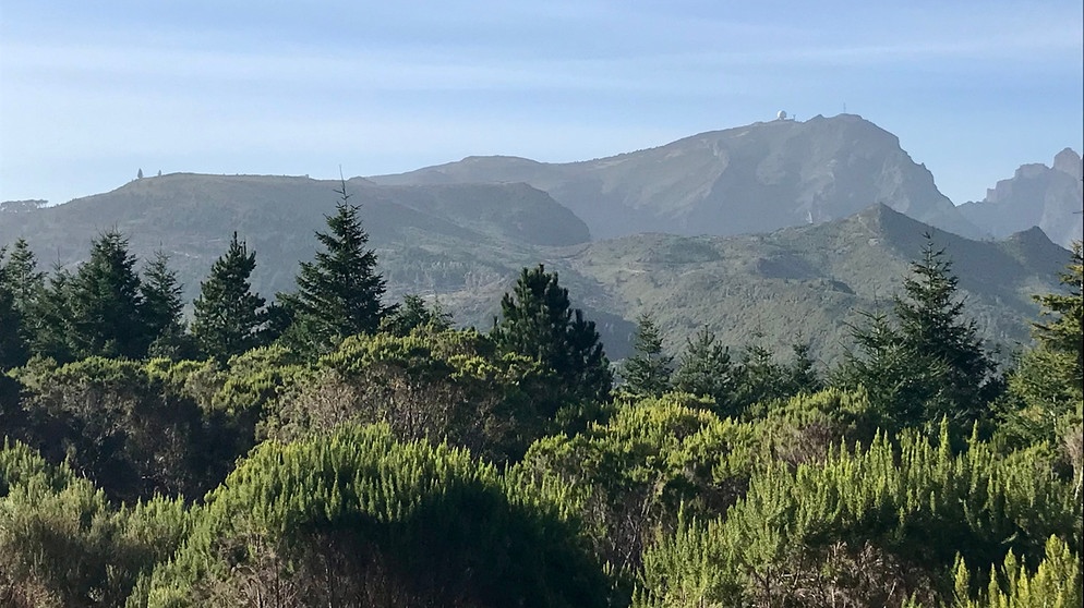 Madeira: Das Inselinnere ist von dichtem Lorbeerwald bedeckt | Bild: BR/Bernd-Uwe Gutknecht